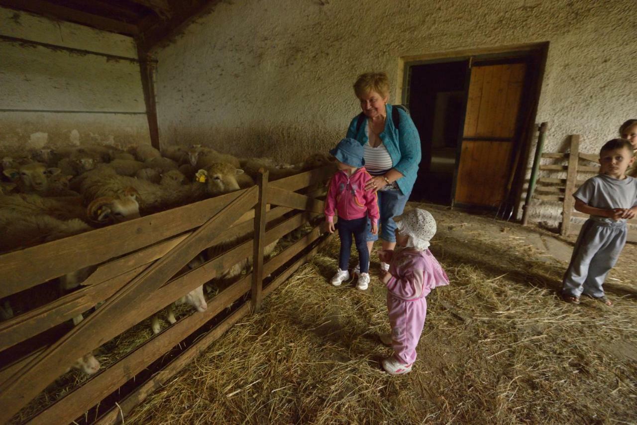 Bio Farma & Penzion Zlaty Hyl Novacany Exteriör bild