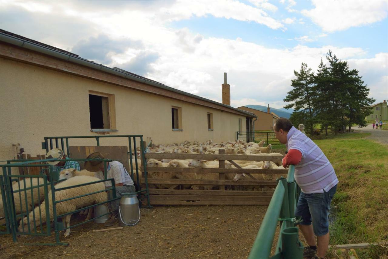 Bio Farma & Penzion Zlaty Hyl Novacany Exteriör bild