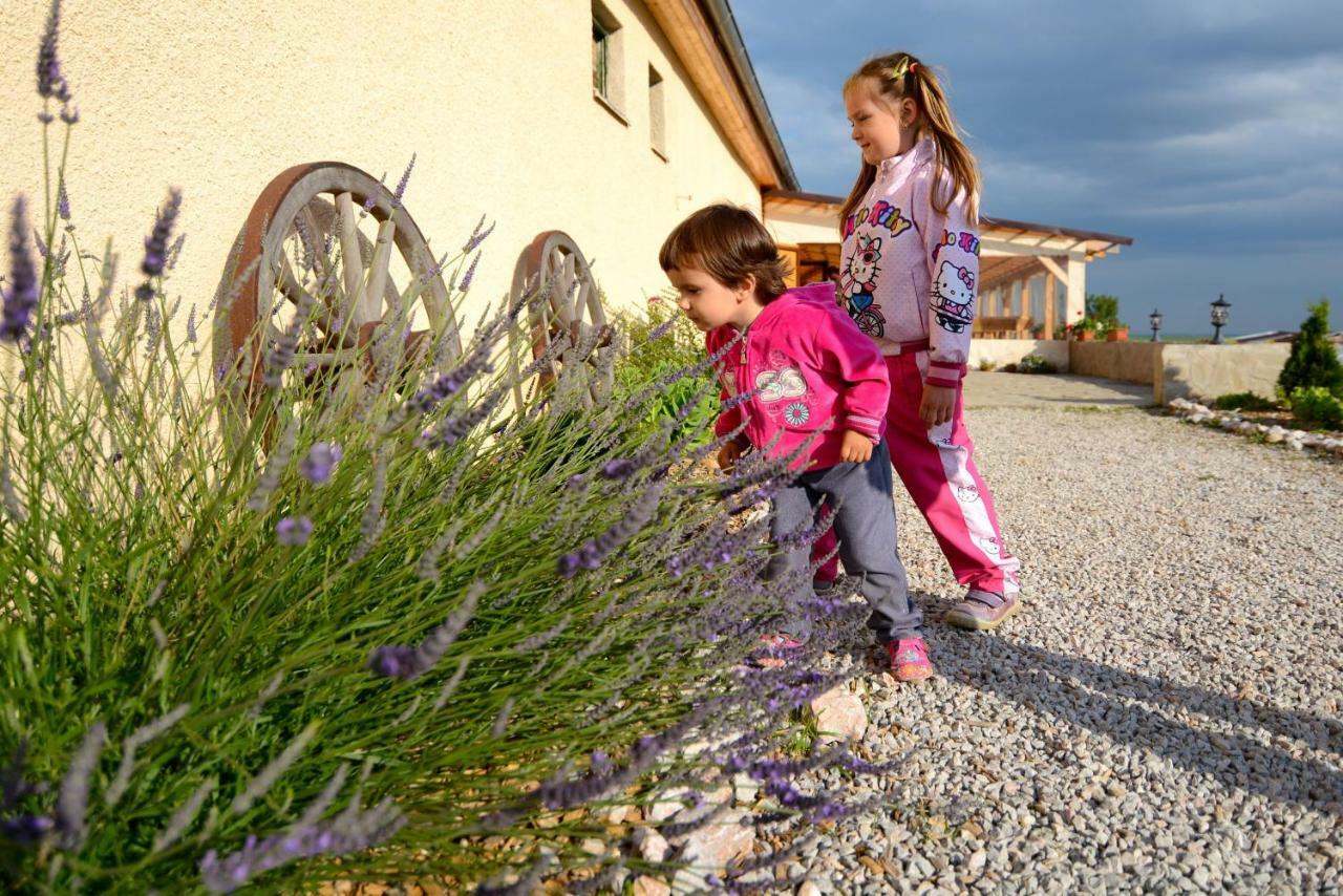 Bio Farma & Penzion Zlaty Hyl Novacany Exteriör bild