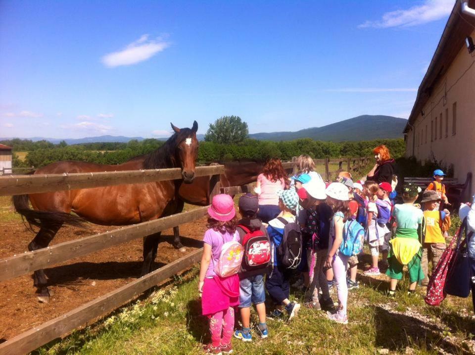 Bio Farma & Penzion Zlaty Hyl Novacany Exteriör bild