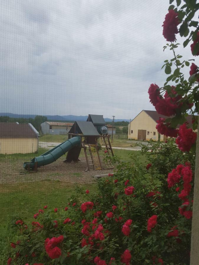 Bio Farma & Penzion Zlaty Hyl Novacany Exteriör bild