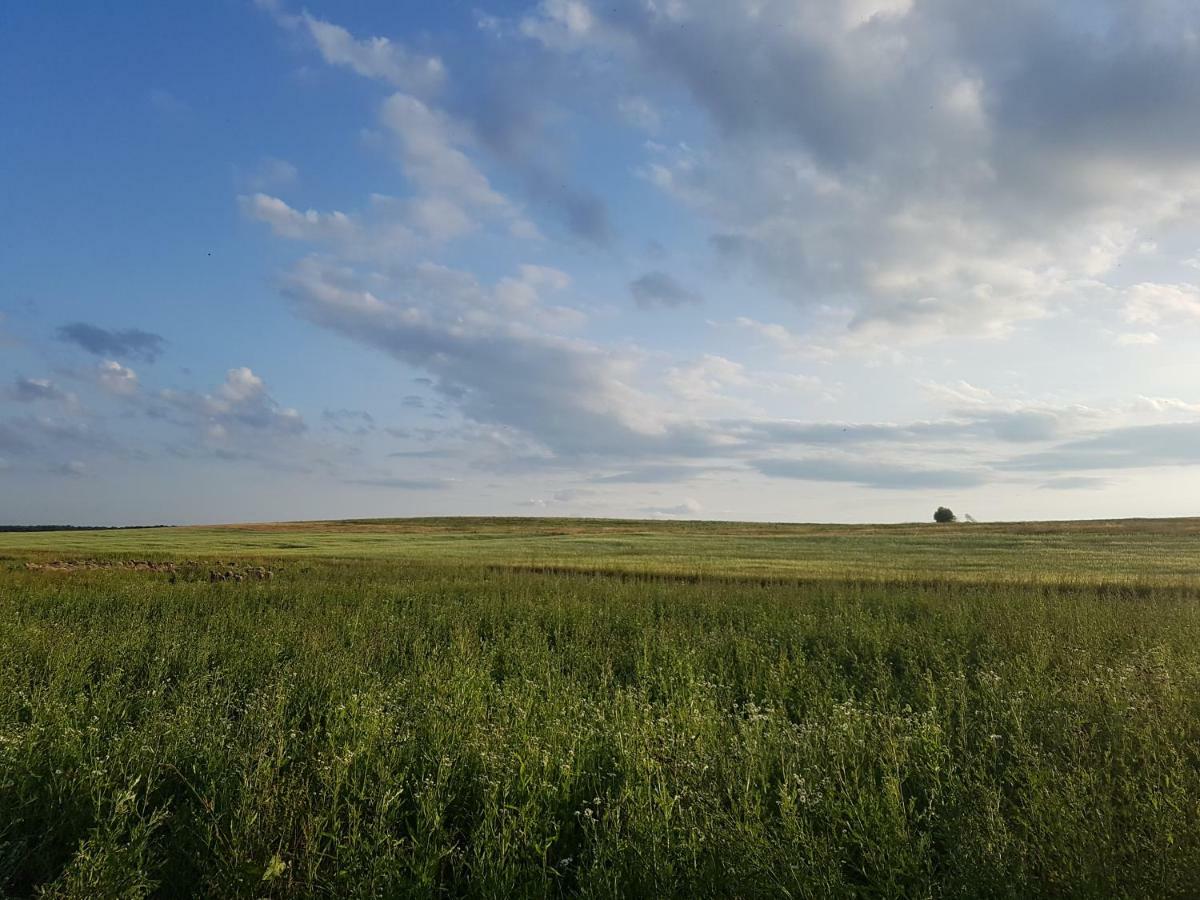 Bio Farma & Penzion Zlaty Hyl Novacany Exteriör bild